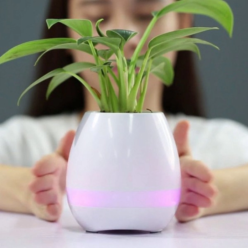 Parlante Bluetooth Jungle, 3W con lampara LED y matera, 11.4 x 11.4 x 11.7 cmts