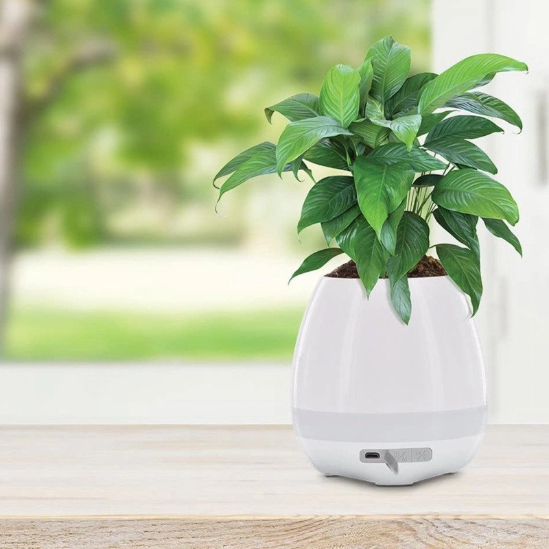 Parlante Bluetooth Jungle, 3W con lampara LED y matera, 11.4 x 11.4 x 11.7 cmts