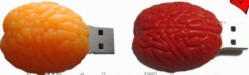 Memoria USB en PVC 3D diseño Cerebro