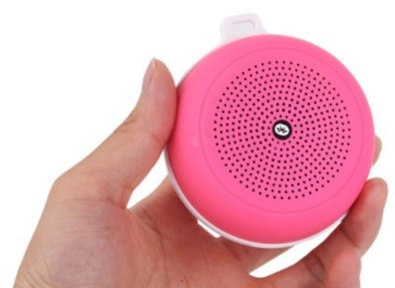 Bluetooth Mini Speaker.